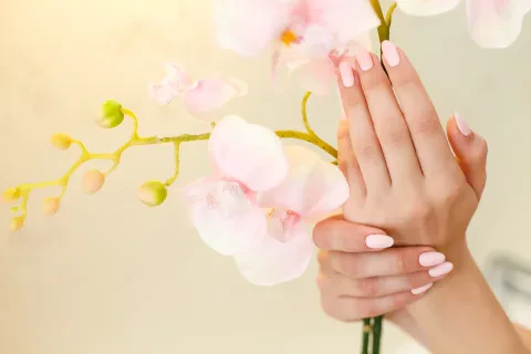Coating with Baehr therapeutic varnish