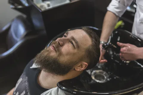 Камуфляж сивини